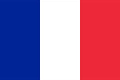 French Nouns Reverse